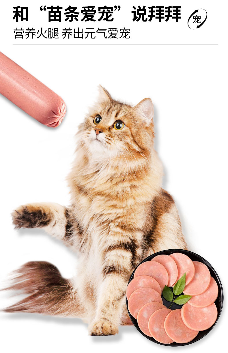 彩王争霸·(中国游)有限公司官网